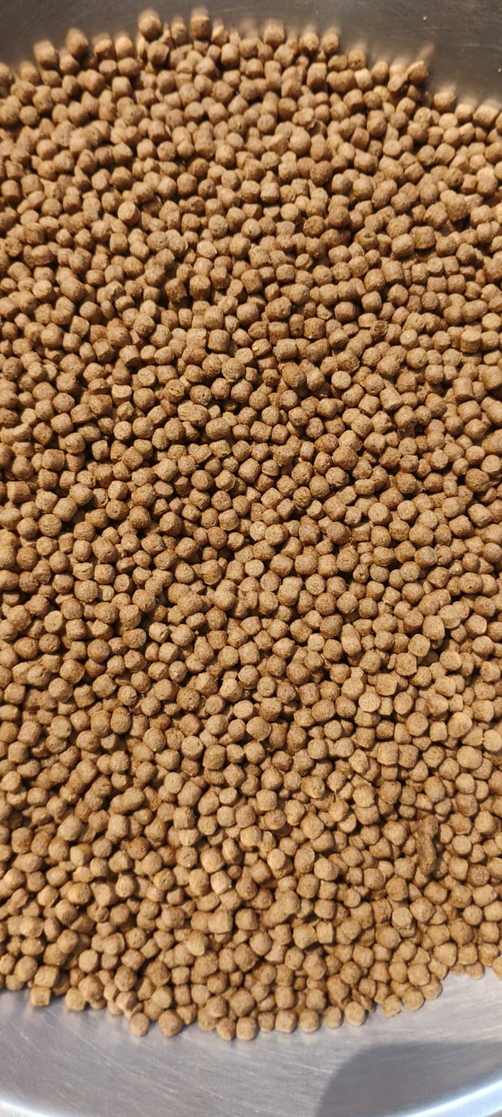 Floating Fish Feed Pallet Size 4mm